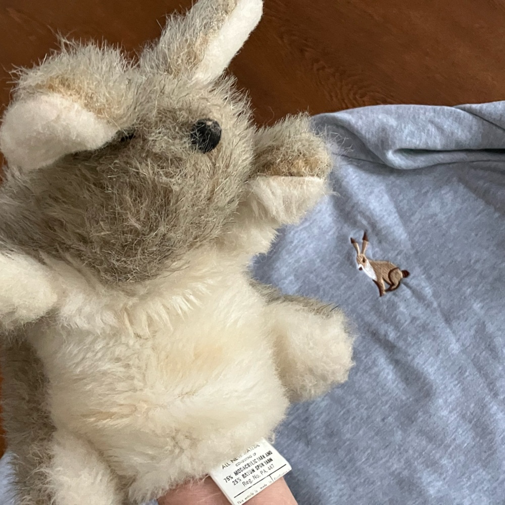 For Easter!! Shirt & fuzzy rabbit handpuppet.Sz 8-10 embroidered sweatshirt.